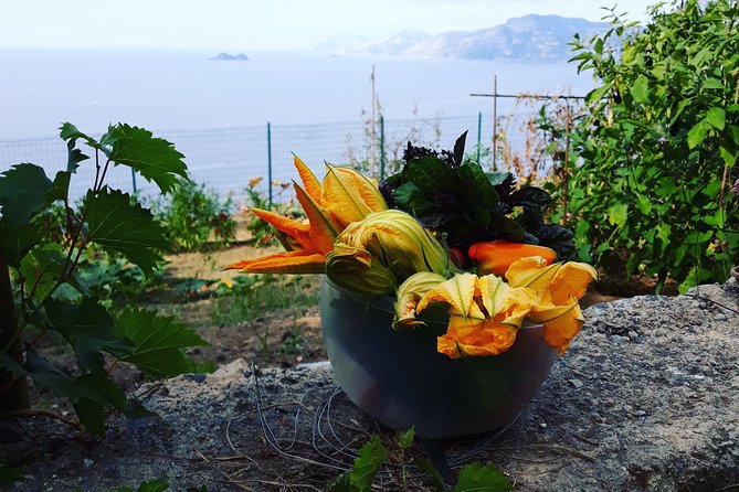 I offer cooking lesson of Amalfi tradition - Who should book this Amalfi tradition cooking lesson?