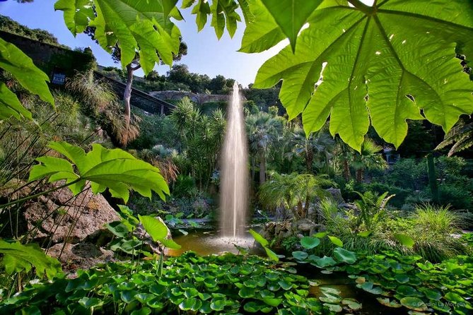 Ischia and La Mortella Gardens - Who should book this tour, and who might prefer something else