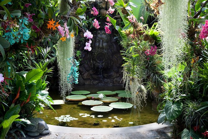 Ischia and La Mortella Gardens - Ischia sightseeing by comfortable coach, with real time on the island