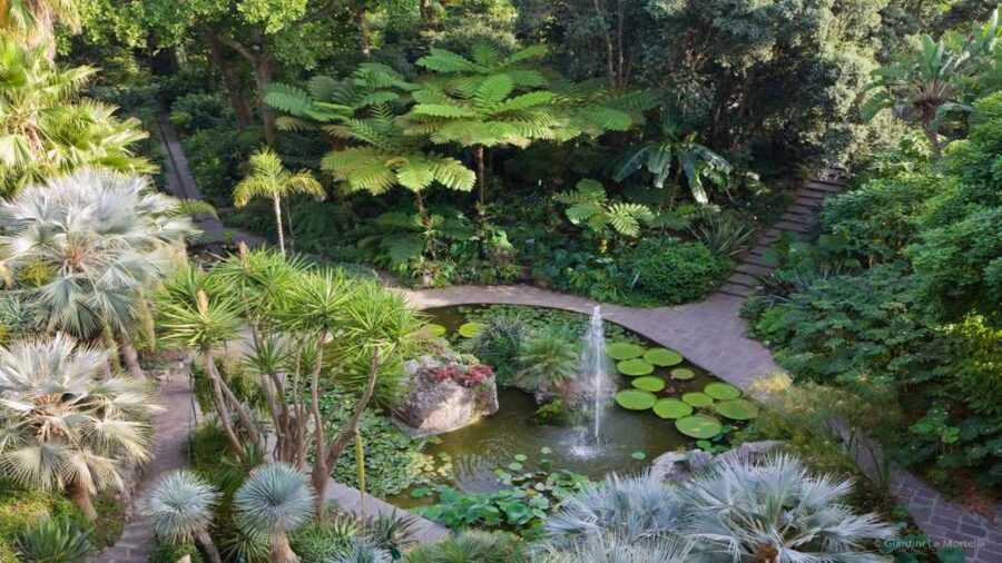 Ischia and Mortella Gardens Full-Day Tour from Sorrento - Why Ischia feels different from mainland Italy