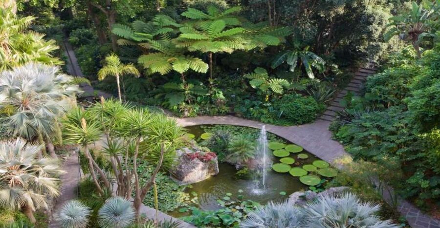 Ischia and Mortella Gardens Full-Day Tour from Sorrento - The guided island tour: villages and viewpoints, not just driving around