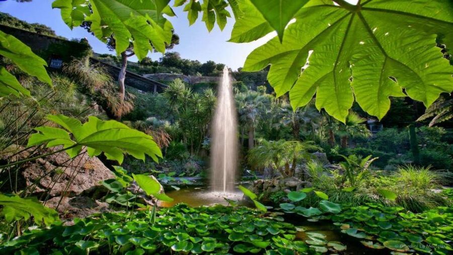 Ischia and Mortella Gardens Full-Day Tour from Sorrento - From Sorrento pier to Ischia: the hydrofoil start that sets the tone