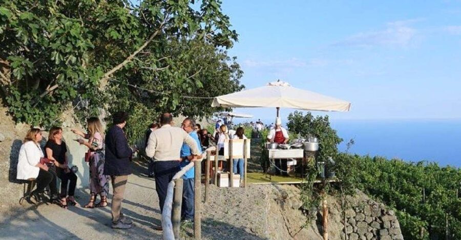 Ischia: Vineyard Tour & Wine Tasting Experience w/ Transfers - Key highlights before you go