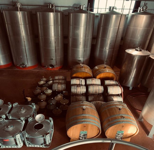 Ischia: Vineyard Tour & Wine Tasting Experience w/ Transfers - Transfers and timing on Ischia, what the 3 hours really feels like