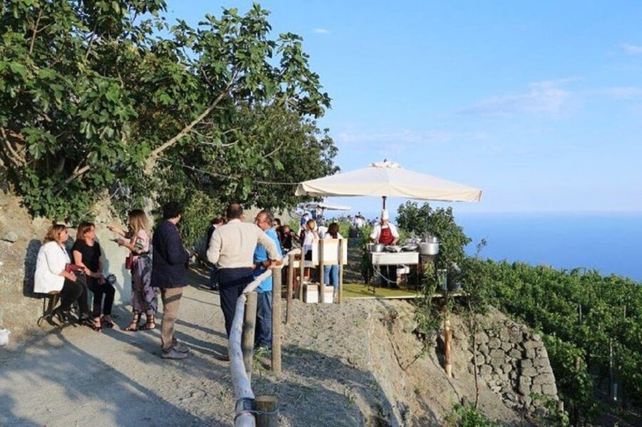 Ischia: Vineyard Tour & Wine Tasting Experience w/ Transfers - Cellar time and the guided tour, where production becomes real