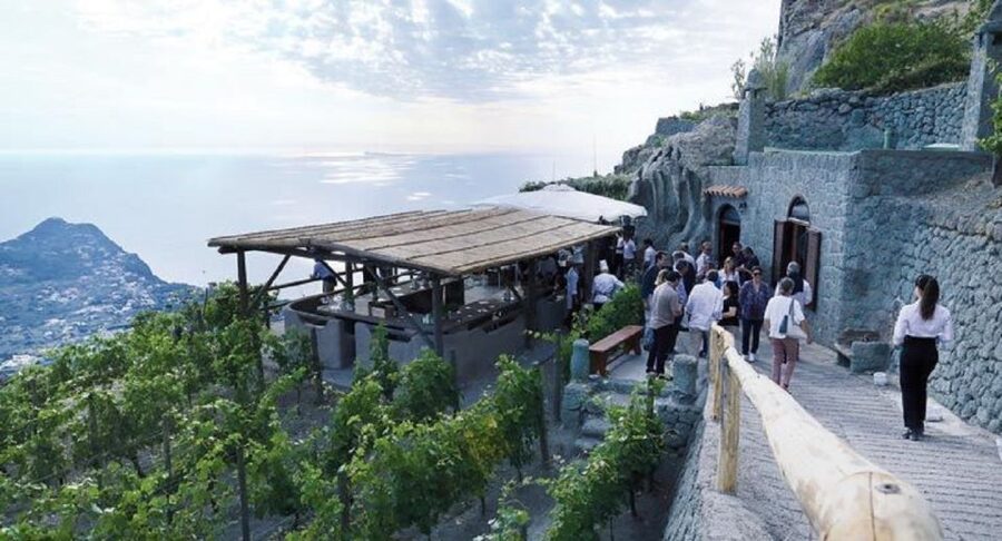 Ischia: Vineyard Tour & Wine Tasting Experience w/ Transfers - Hotel pickup to the vineyard van ride, how to make it painless
