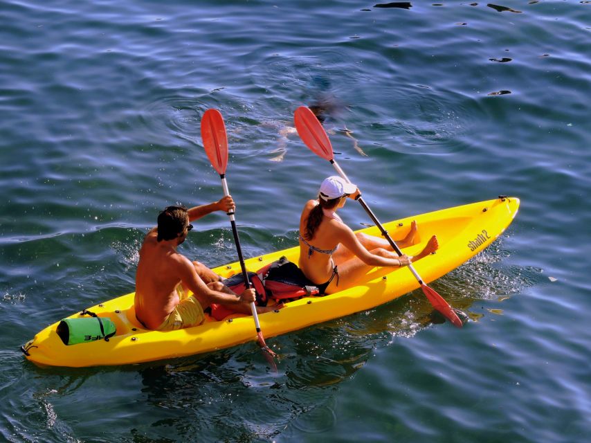 Kayak experience - Booking mood check: should you go