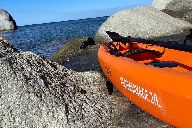 Kayak Tour with Local Guide - How the local guide keeps the day safe, calm, and genuinely informative