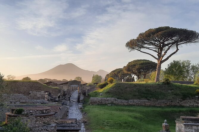 Late Afternoon Best time to visit Pompei on a private tour - Meet at Via Villa dei Misteri, then step in through Porta Marina