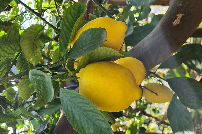 Lemon path hike - Amalfi coast - Where the Hike Starts in Maiori, and what 3 hours 20 minutes adds up to