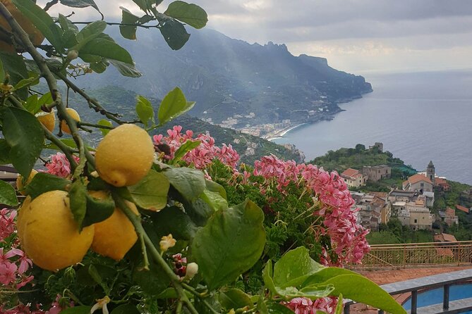 Luxury Tour from Positano to Pompei Ravello Amalfi - Pompeii Archaeological Park: 2 hours for mosaics, frescoes, and everyday life