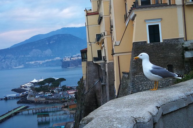 Minivan Tour | Positano Sorrento and Pompeii whit local driver - Pizza stop and bottled water: small perks, big payoff