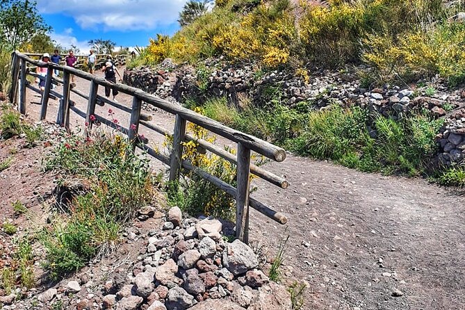 Mount Vesuvius Tour with Entry Ticket & Lunch - Sorrentino Vini Winery Lunch and Wine Tasting