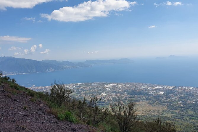 Mount Vesuvius Tour with Entry Ticket & Lunch - Price and Value: Why This $107.17 Works for the Right Person