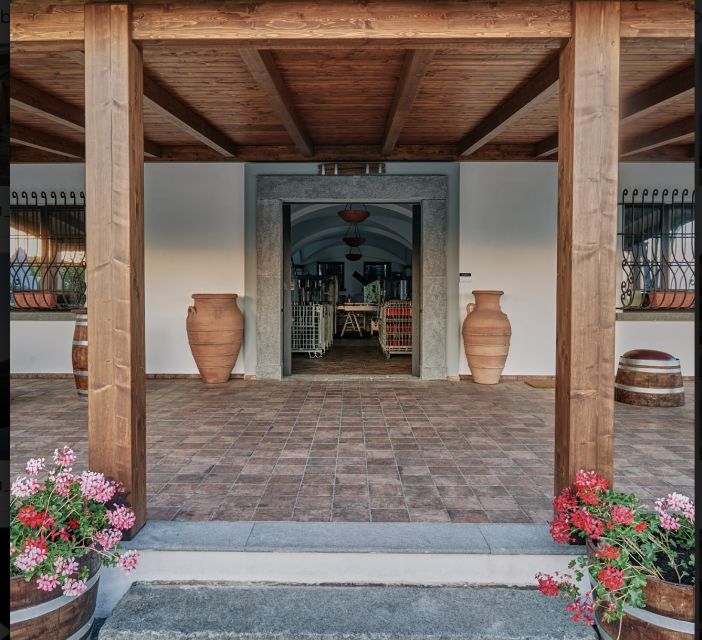 Mount Vesuvius: Vineyard Tour with Wine Tasting and Lunch - Practical timing: what to watch for on arrival