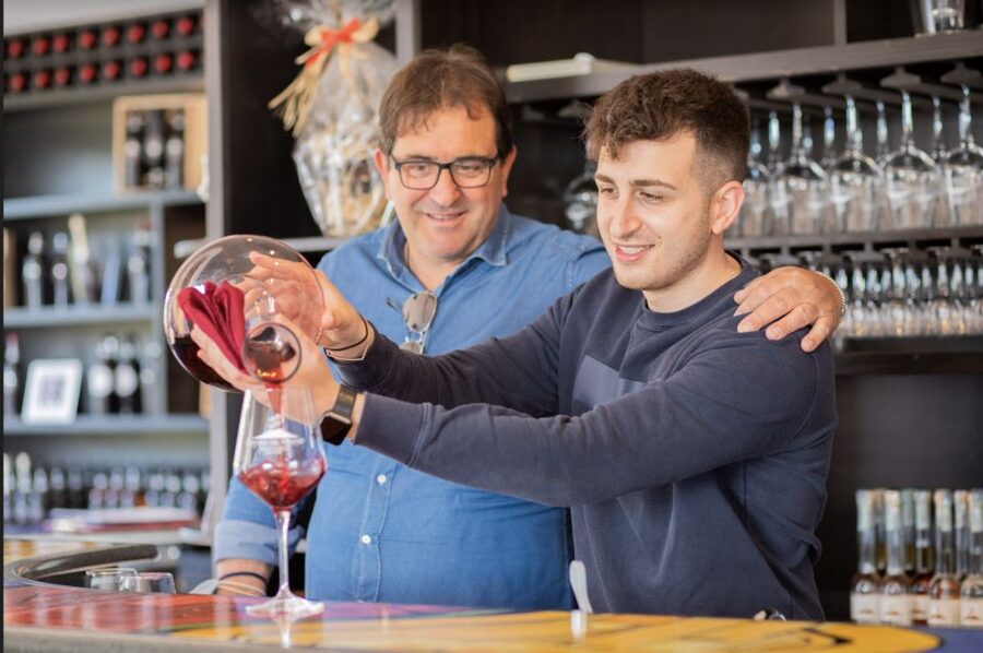 Mount Vesuvius: Vineyard Tour with Wine Tasting and Lunch - The vineyard slopes: what the guided walk is really like