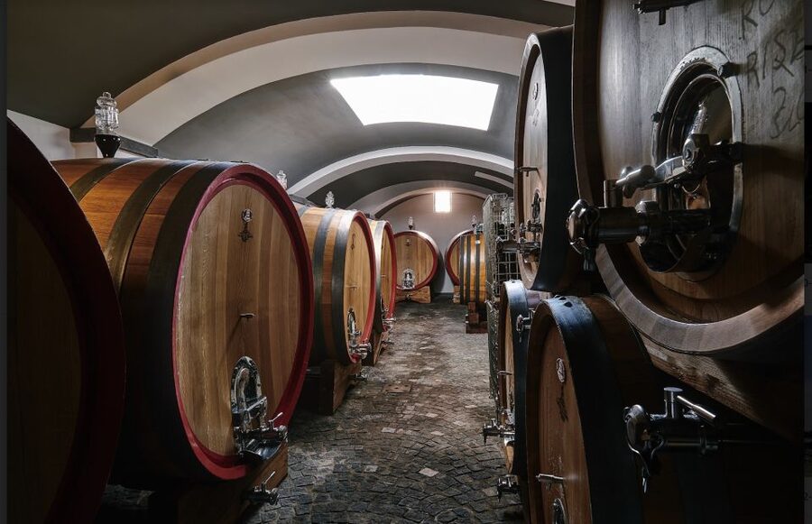 Mount Vesuvius: Vineyard Tour with Wine Tasting and Lunch - Lacryma Christi DOC: how the tasting is structured