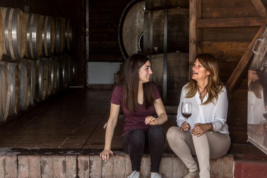 Mount Vesuvius: Vineyard Tour with Wine Tasting and Lunch - Views you can photograph without sprinting