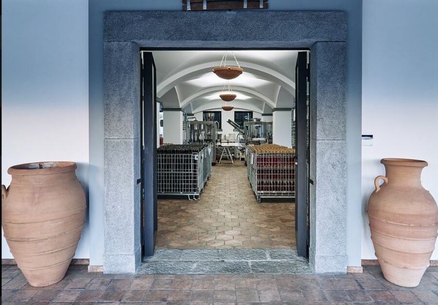 Mount Vesuvius: Vineyard Tour with Wine Tasting and Lunch - The $65 value: what you should mentally budget for