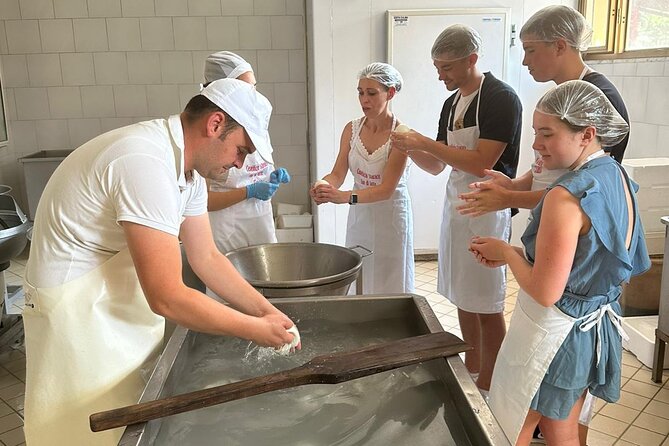 Mozzarella Experience with Tasting in Vico Equense - The mozzarella fior di latte class: what you actually do