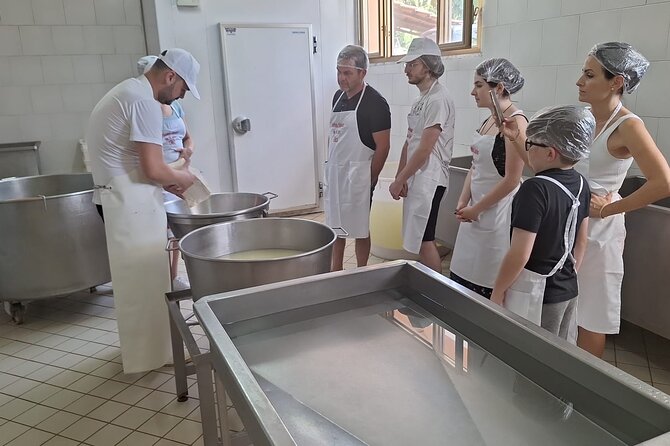 Mozzarella Experience with Tasting in Vico Equense - Price and value: is $102.25 per person worth it?