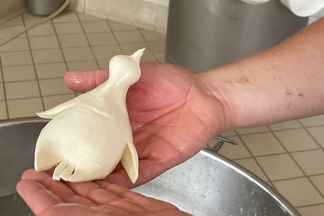 Mozzarella Experience with Tasting in Vico Equense - The laboratory visit, fior di latte, and the curd process
