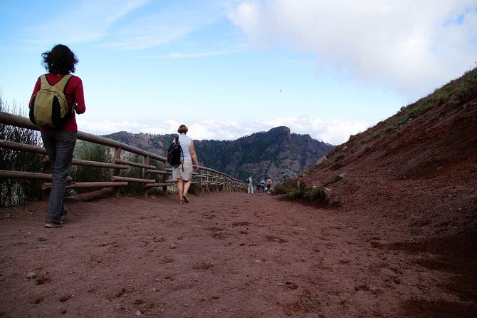Mt Vesuvius and Pompeii Tour by Bus from Sorrento - Vesuvius National Park: The 1,000-Meter Start and Crater Access