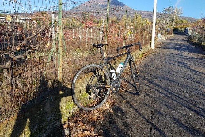 Mt Vesuvius E-Bike Tour - Your Guide and Group Size, Including Pietro’s Role
