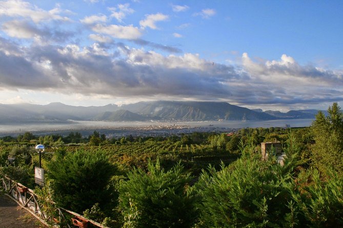 Mt. Vesuvius Wine Tasting and Lunch Experience from Pompeii - From Pompeii to Vesuvius, the ride is part of the value