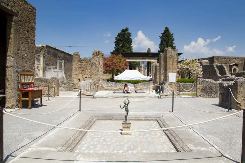 Naples or Sorrento: Full-Day Pompeii and Mount Vesuvius Tour - The Pompeii stops that make the eruption story real