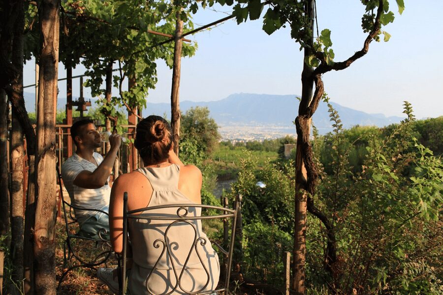 Naples: Pompeii and Herculaneum Tour with Tickets and Lunch - Pompeii and Herculaneum in one day: why this pairing works