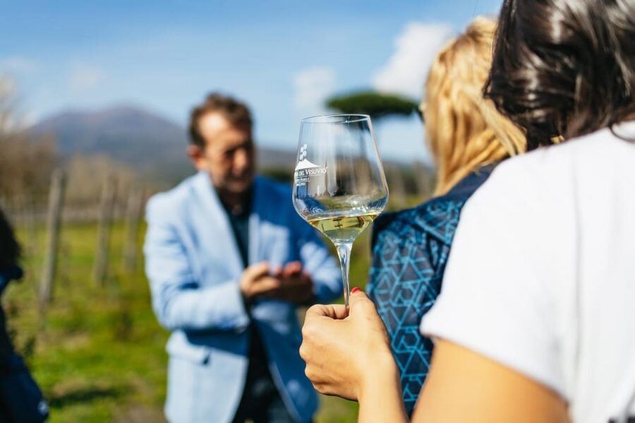 Naples: Pompeii and Mt. Vesuvius with Lunch and Wine Tasting - Naples pickup and drop-off: make the meeting point easy on yourself