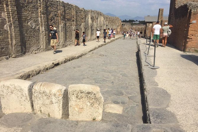 Naples Shore Excursion: Pompeii and Sorrento Day Trip - Pace, audio gear, and coach comfort that actually affect your day