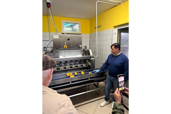 Nonno Mario Sorrento Lemon tour - Key highlights at a glance