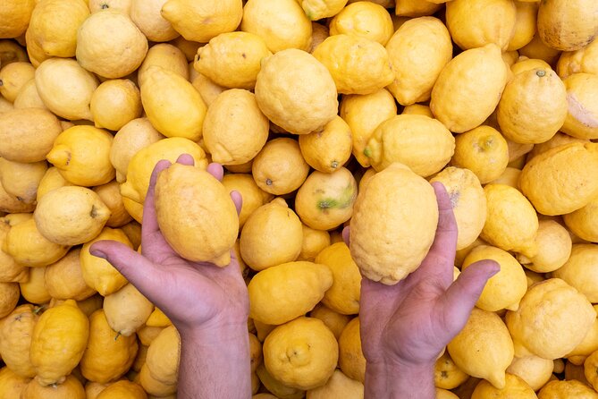 Nonno Mario Sorrento Lemon tour - Entering the Galano lemon grove world