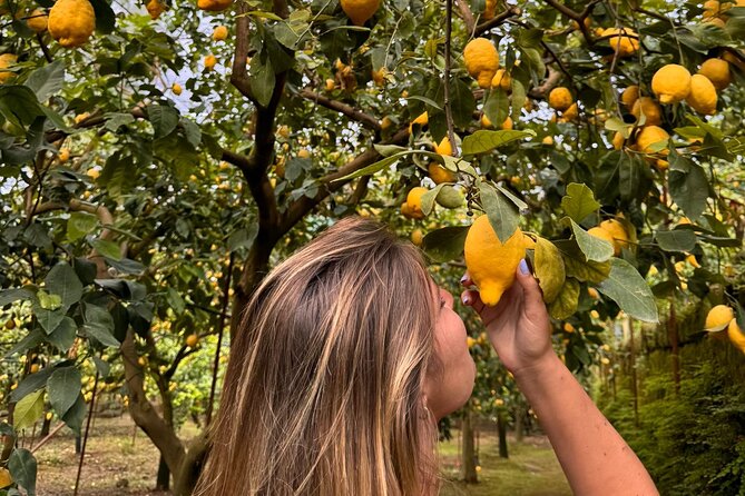 Nonno Mario Sorrento Lemon tour - The lemon lab stop: peeling, squeezing, and tasting fresh peel