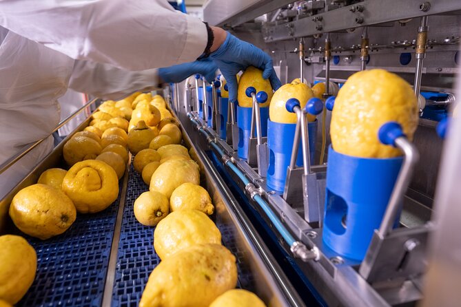 Nonno Mario Sorrento Lemon tour - Value for $77.44: what you get for your money