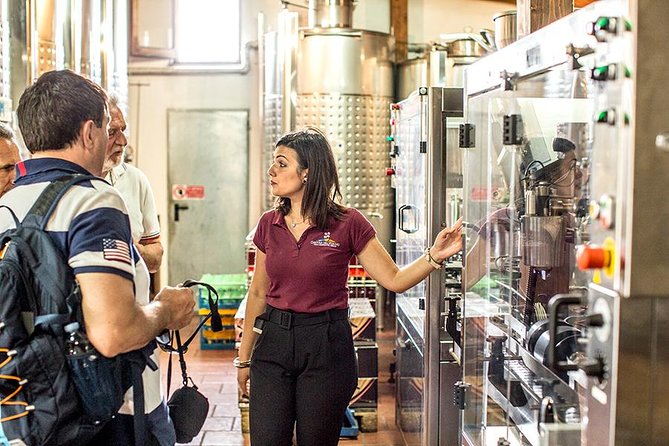 Organic Wine Tasting & Lunch Experience on Mt Vesuvius - The three-course lunch on the slopes: what you actually eat