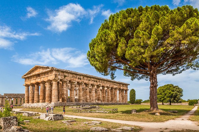 Paestum: Private Tour of Greek Temples and Archaeological Museum - Paestum’s temples: why this site feels different