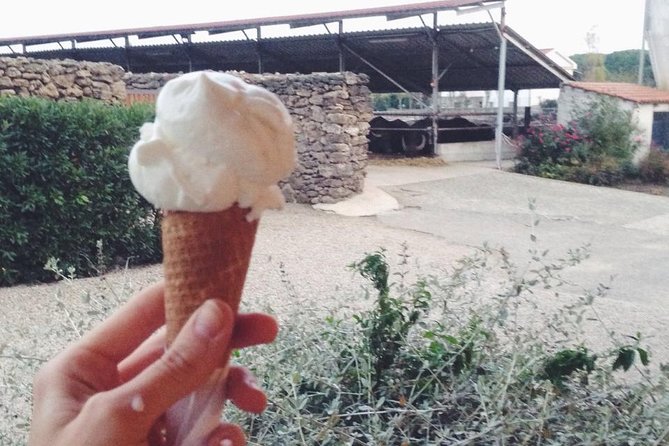 Paestum Traditions, Buffaloes, Ceramics, Temples - A practical half day in Paestum country