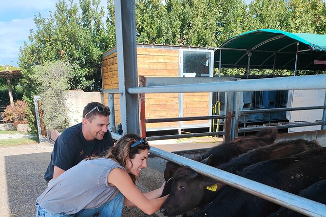 Paestum Traditions, Buffaloes, Ceramics, Temples - Transportation, pickup, and making the most of the 3 to 4 hours