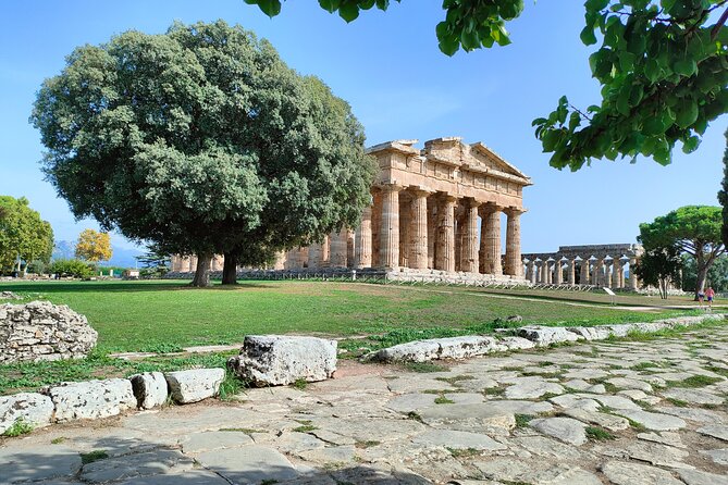 Paestum Traditions, Buffaloes, Ceramics, Temples - The guide factor: why Giuseppe Leone makes the stops land