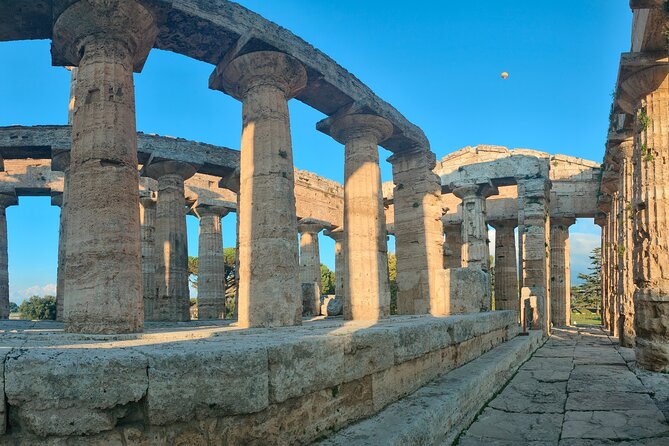 Paestum Traditions, Buffaloes, Ceramics, Temples - Stop 2 Barlotti buffalo farm for herd time and buffalo milk tastes