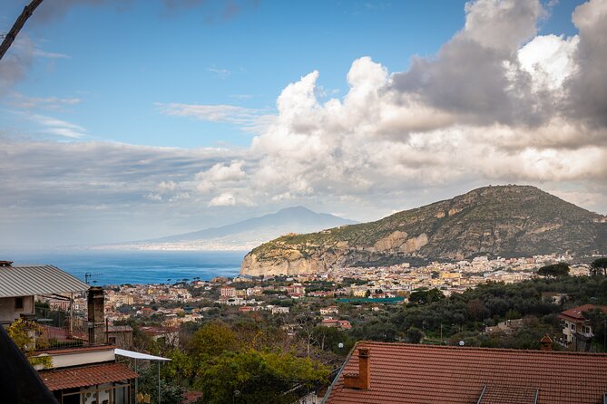 Pasta and Tiramisù class with a panoramic view of Sorrento - Vegetable Garden Visit: Where Ingredients Become Real