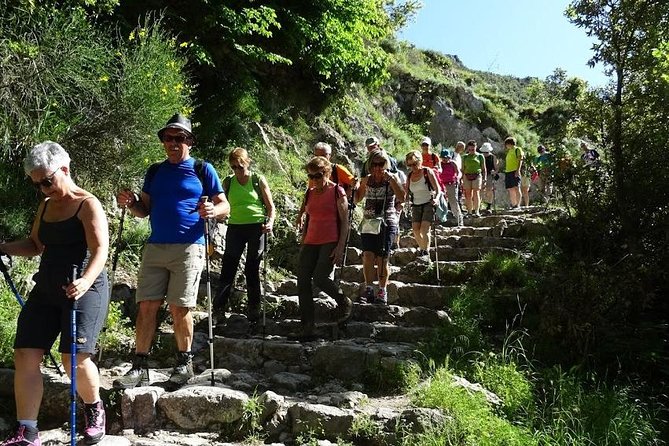 Path of Gods Hike, with Food Experience at Shepherd's Hut - Price and value: is $240.96 a fair deal for 4 to 5 hours?