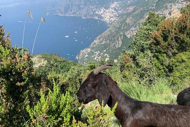 Path of the gods hike - How a guide keeps you on the trail (and off the stress)