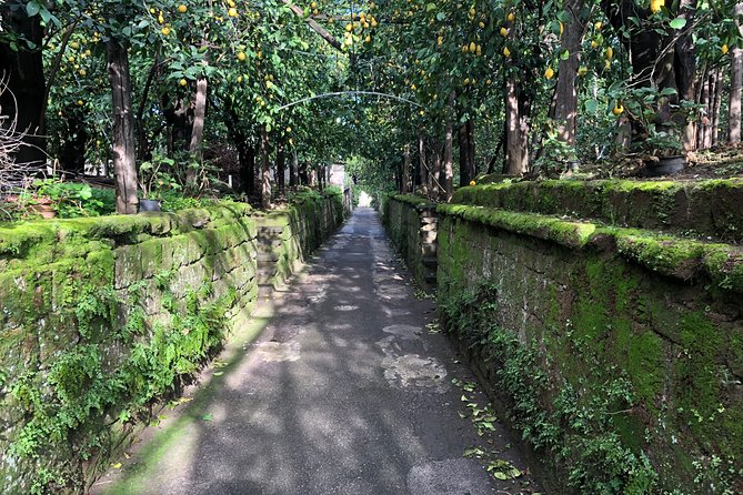 Piano di Sorrento Walking Tour with a Local - Villa Lauro: the quick neoclassical photo moment