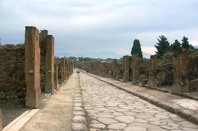 Pompei Archeological site and Wine tasting Experience - Who this Pompeii plus wine tour suits best