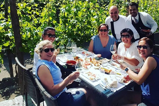 Pompei Archeological site and Wine tasting Experience - Should you book this Pompeii and wine tasting experience from Amalfi?