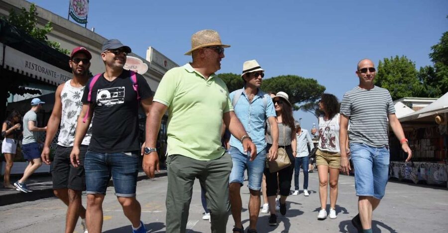 Pompei: Private tour of Pompei and Vesuvius from Sorrento - Riding up to Vesuvius, then hiking to the summit views